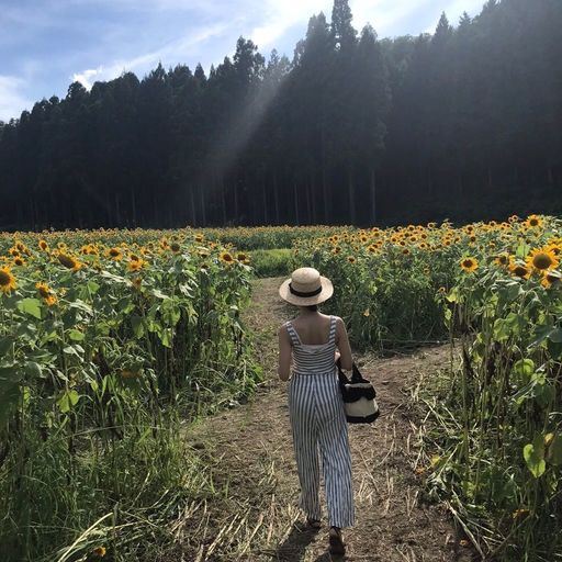 たんとう花公園の口コミ 写真 アクセス Recotrip レコトリップ