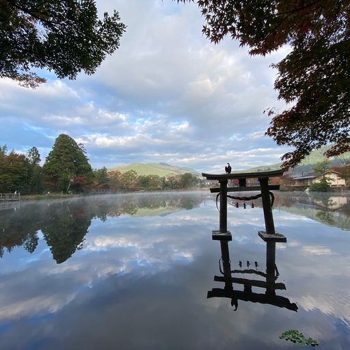 22年 大分県の観光はココ みんなに人気のスポットtop30