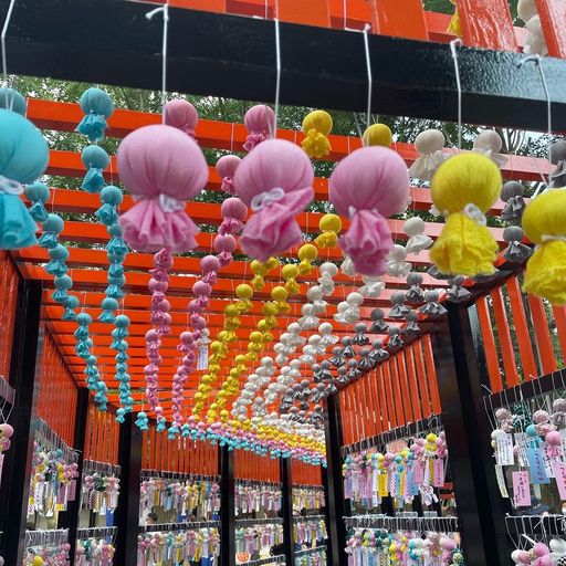 22年 田無神社 おみくじいっぱい 五龍神が多くの願いを叶えてくれるカラフルなパワースポット Recotrip レコトリップ