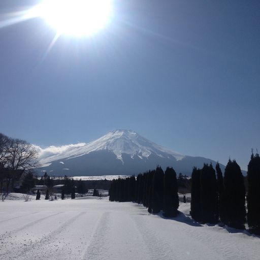 21年 山梨県 冬にオススメ 観光スポットランキング