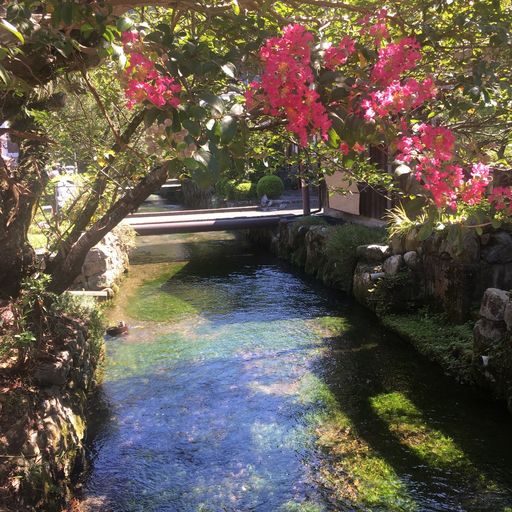 English Garden ローザンベリー多和田 まるで絵画の世界 自然とグルメが満載な老若男女みんなが楽しめるイギリス庭園 Recotrip レコトリップ