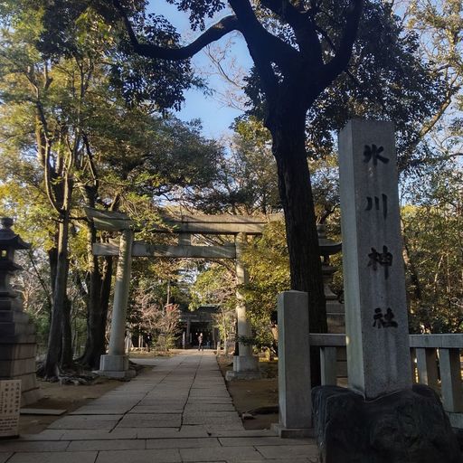 赤坂氷川神社 縁結びの最強パワースポット 都会の真ん中でイチョウに囲まれる静かな神社 Recotrip レコトリップ