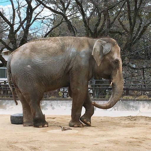 22年 近畿地方の動物園はココ みんなに人気のスポットtop17