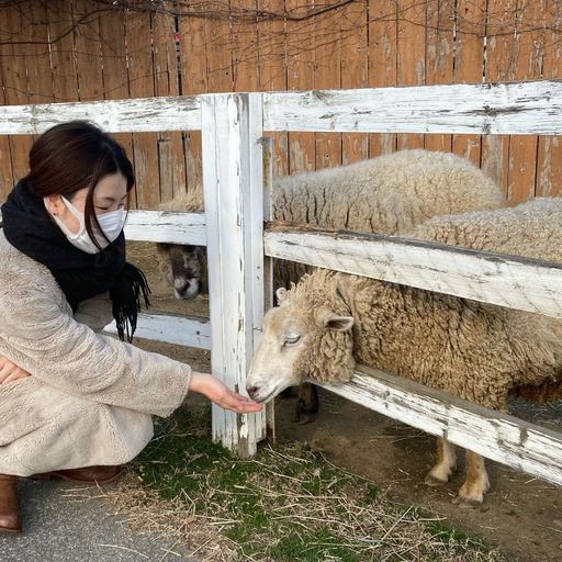 赤穂海浜公園 動物ふれあい村の口コミ 写真 アクセス Recotrip レコトリップ