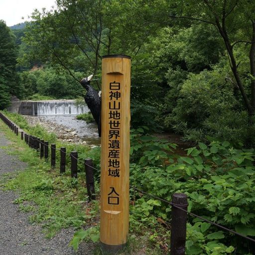 白神山地 もののけ姫 のモデルにもなった 手つかずの自然が多く残る山地帯 Recotrip レコトリップ