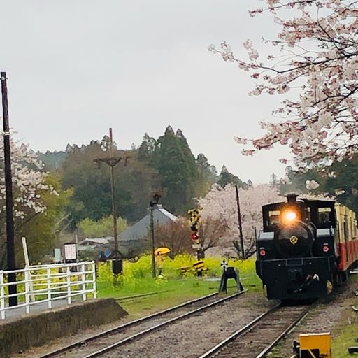 喜動房倶楽部 小湊鉄道 里見駅の口コミ 写真 アクセス Recotrip レコトリップ