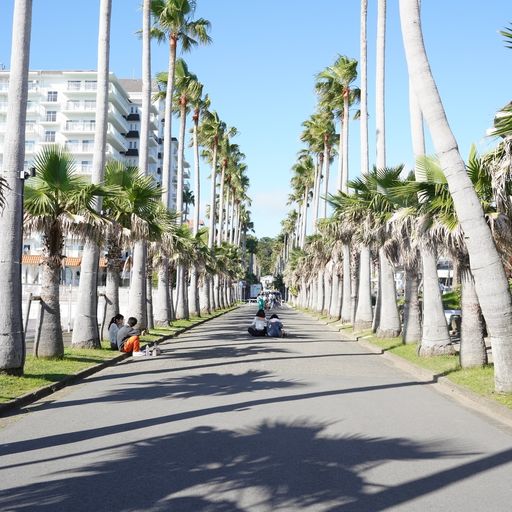 22年 リビエラ逗子マリーナ まるで海外 おしゃれなカフェやレストランに海とヤシの木に囲まれた絶景リゾート Recotrip レコトリップ