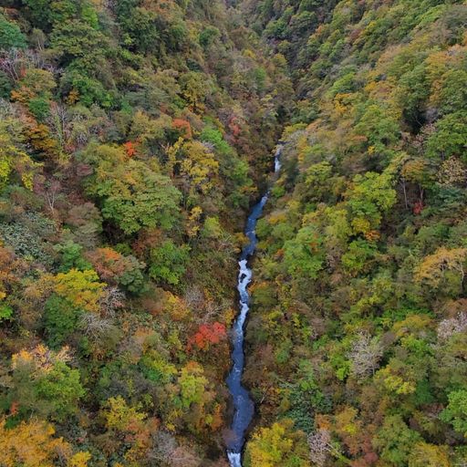 新登別大橋の口コミ 写真 アクセス Recotrip レコトリップ