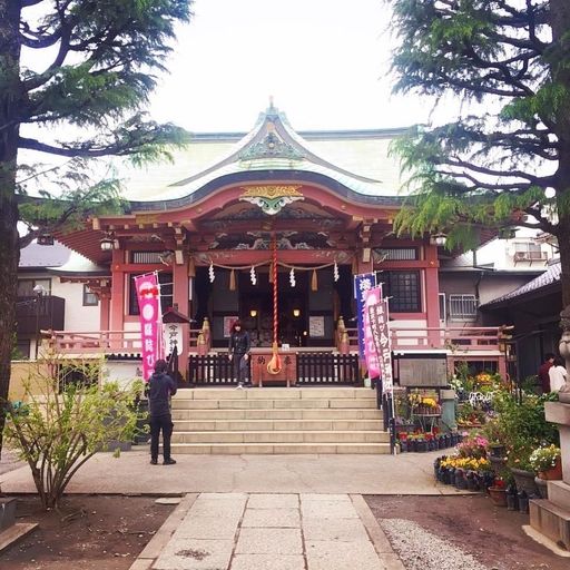 今戸神社 招き猫が縁結び 浅草から足を延ばして行ける猫だらけの神社 Recotrip レコトリップ