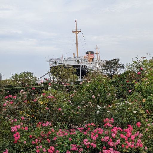 山下公園 四季折々の花の宴 海に行き交う船も見られる お散歩 デートにピッタリなスポット Recotrip レコトリップ