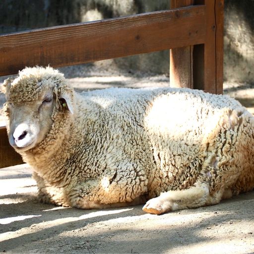 22年 近畿地方の動物園はココ みんなに人気のスポットtop17