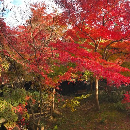 中野邸記念館の口コミ 写真 アクセス Recotrip レコトリップ