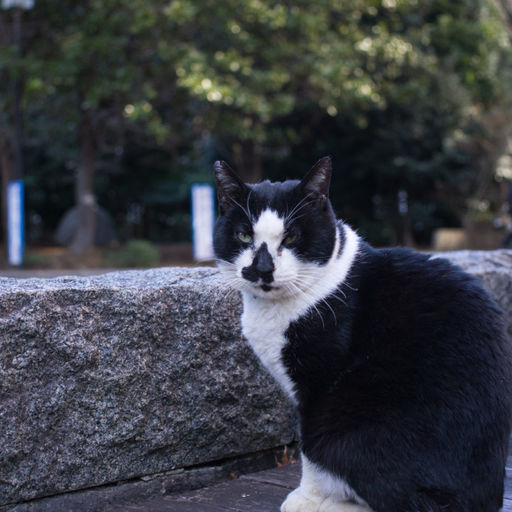 豊島区立東池袋中央公園の口コミ 写真 アクセス Recotrip レコトリップ