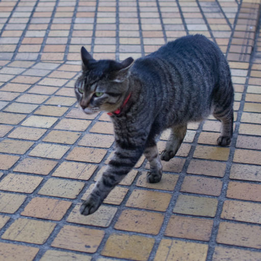 豊島区立東池袋中央公園の口コミ 写真 アクセス Recotrip レコトリップ