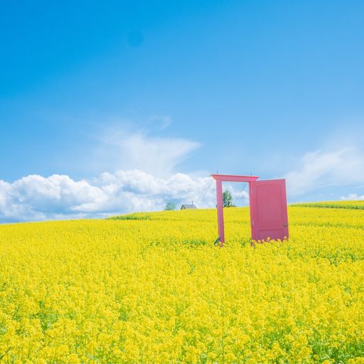 やくらいガーデン その眺めはまさにフォトジェニック 春 夏 秋に色とりどりの花たちが彩る美しい丘 Recotrip レコトリップ