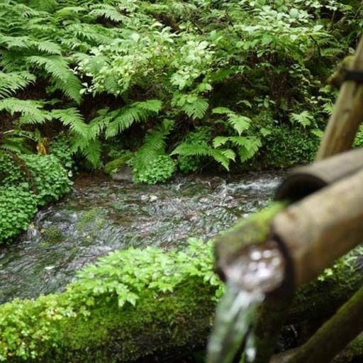 但馬高原植物園 瀞川平 オーバーラントガルテンの口コミ 写真 アクセス Recotrip レコトリップ