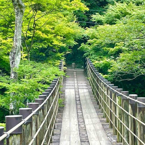 花貫渓谷 渓谷にかかる吊り橋からの眺めが絶景 茨城屈指の紅葉の名所 Recotrip レコトリップ