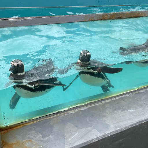 22年 寺泊水族博物館の口コミ 写真 アクセス Recotrip レコトリップ