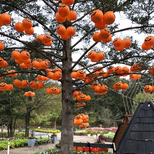 ふなばしアンデルセン公園 外国人に大人気 千葉のデンマーク村 ふなばしアンデルセン公園