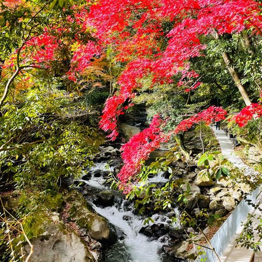 22年 万葉公園の口コミ 写真 アクセス Recotrip レコトリップ