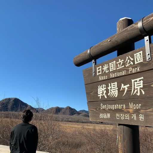 三本松園地 日光の大自然を満喫 夜間の星空も綺麗な観光スポット Recotrip レコトリップ