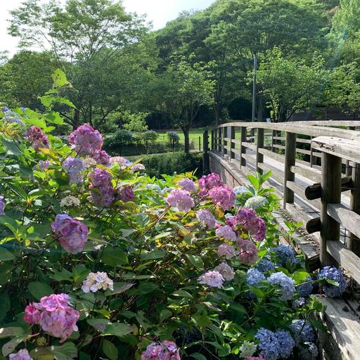 23年 和歌山県植物公園緑花センターの口コミ 写真 アクセス Recotrip レコトリップ
