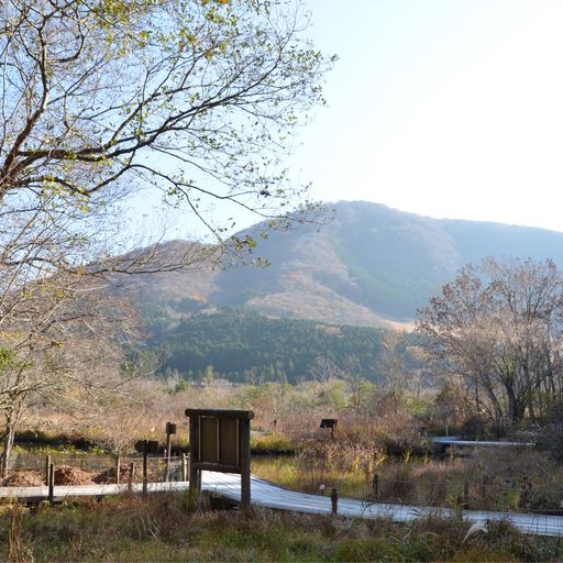 22年 箱根町立箱根湿生花園 箱根にある大きな植物園 珍しい外国産の植物も見られる Recotrip レコトリップ