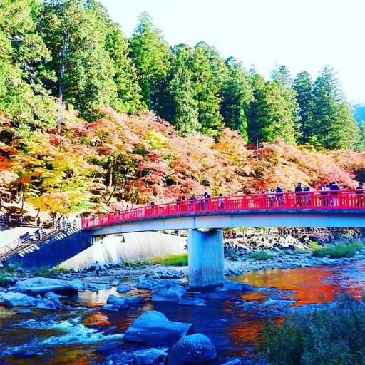 22年 愛知県の自然 景勝地はココ みんなに人気のスポットtop30