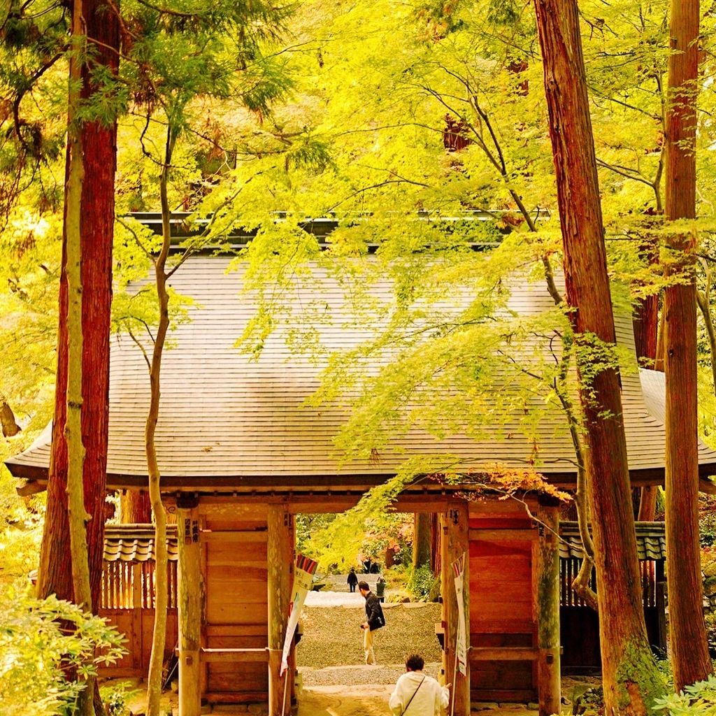 釈迦山 百済寺 日本紅葉百選の古寺