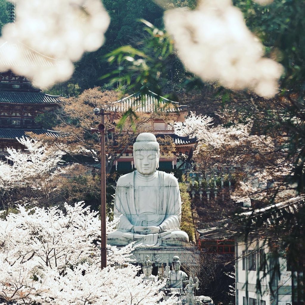 壺阪山 南法華寺（壺阪寺）】口コミ・アクセスと周辺観光ガイド・料金・営業時間・地図|全長20mの大観音石像！眼に関するご利益も嬉しい奈良の寺院