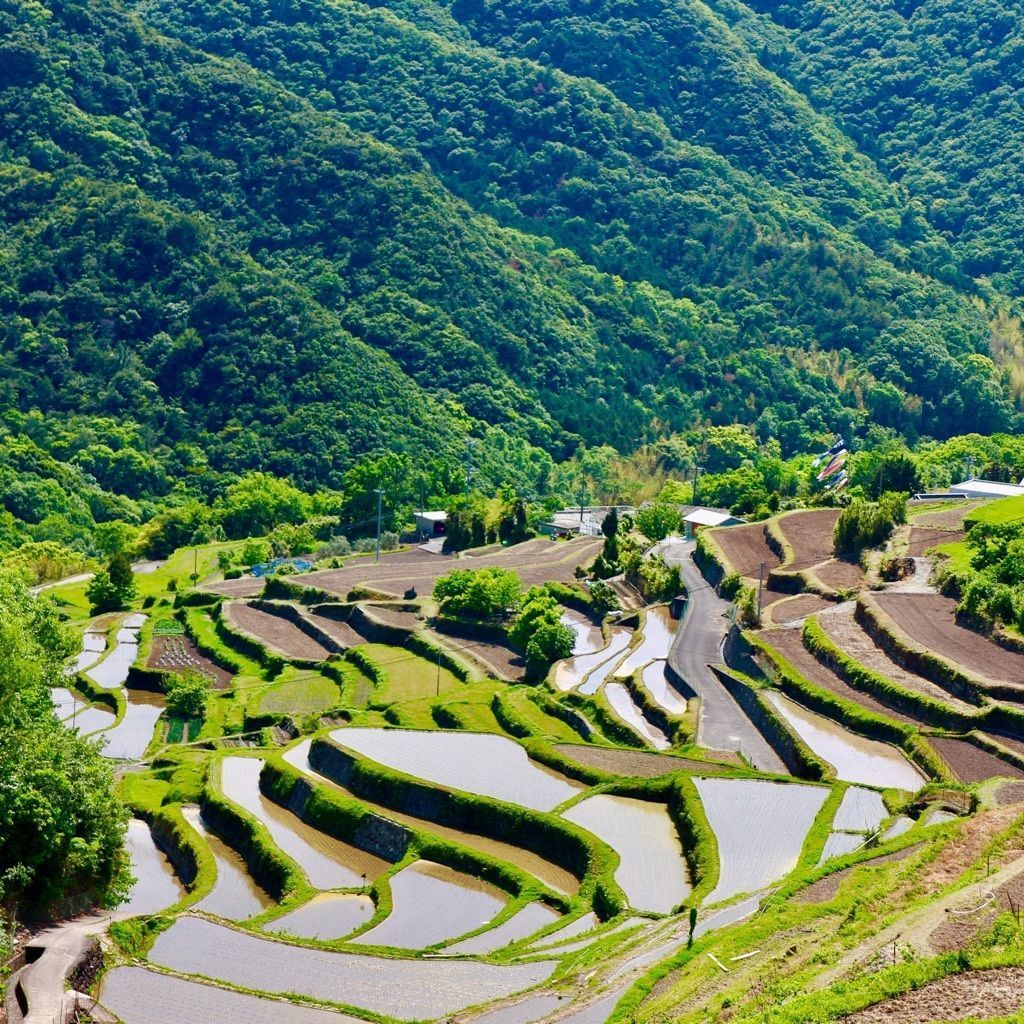 22年 中山千枚田 立体的な田園風景が広がる癒しのフォトスポット 心落ち着く 日本の原風景 Recotrip レコトリップ