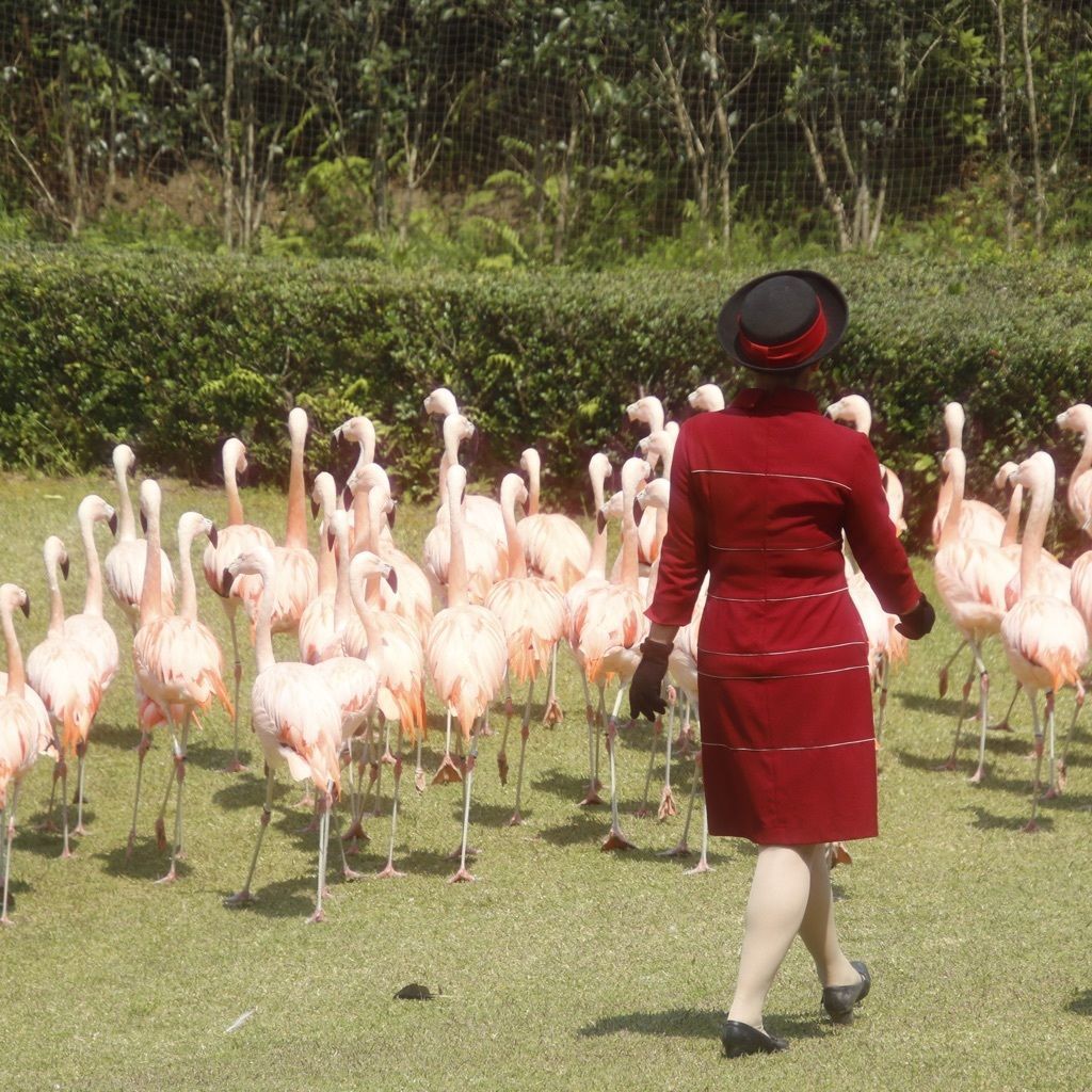 22年 宮崎市フェニックス自然動物園の口コミ 写真 アクセス Recotrip レコトリップ