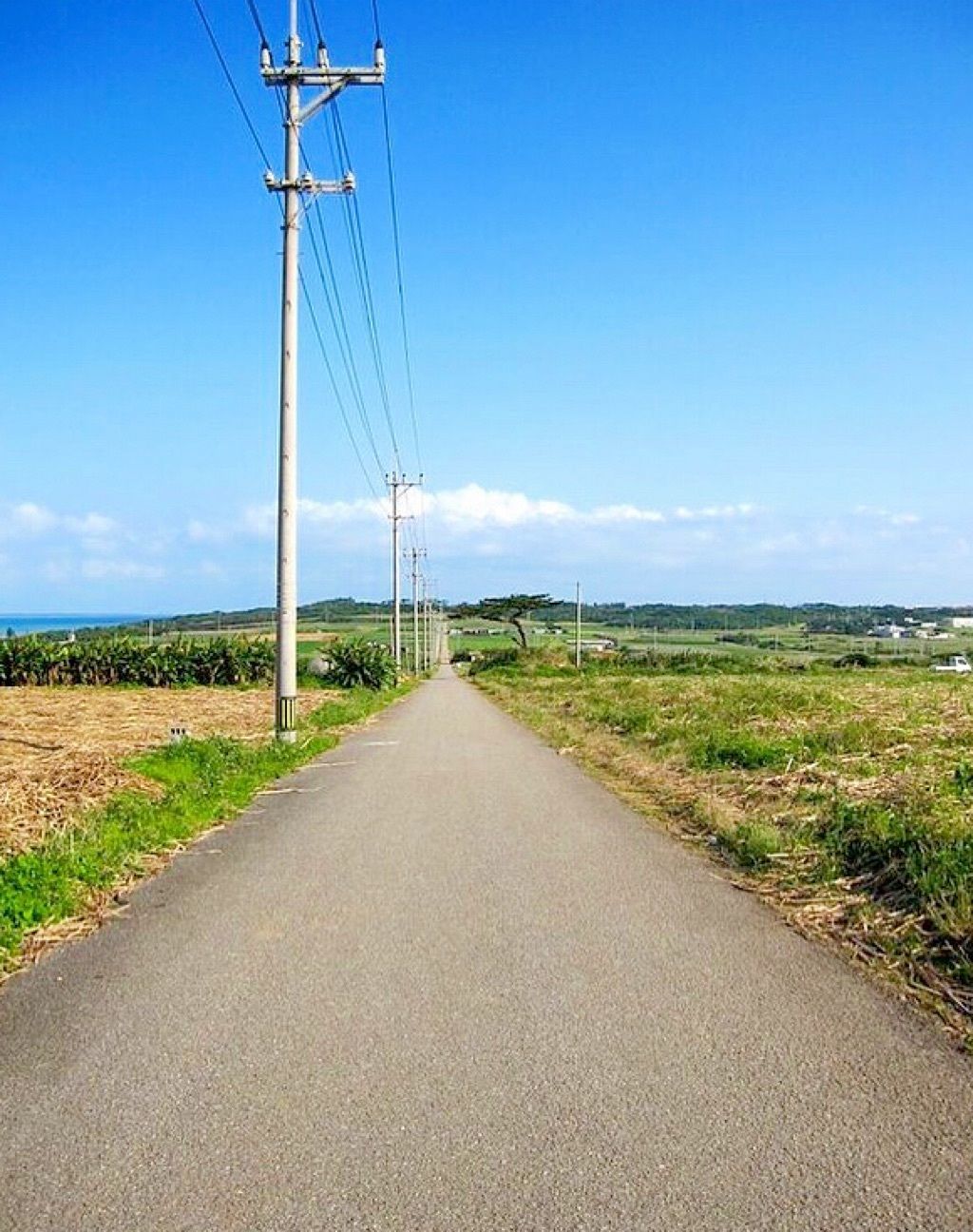 シュガーロード 沖縄県 ちゅらさん に出てくる一本道