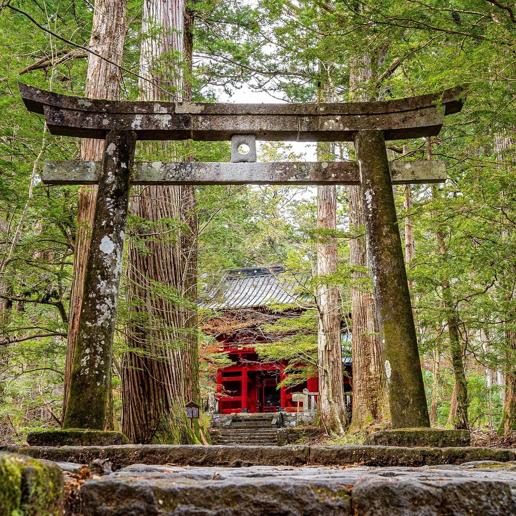 21年版 栃木県 神社の観光スポットランキング 1ページ目 Recotrip レコトリップ