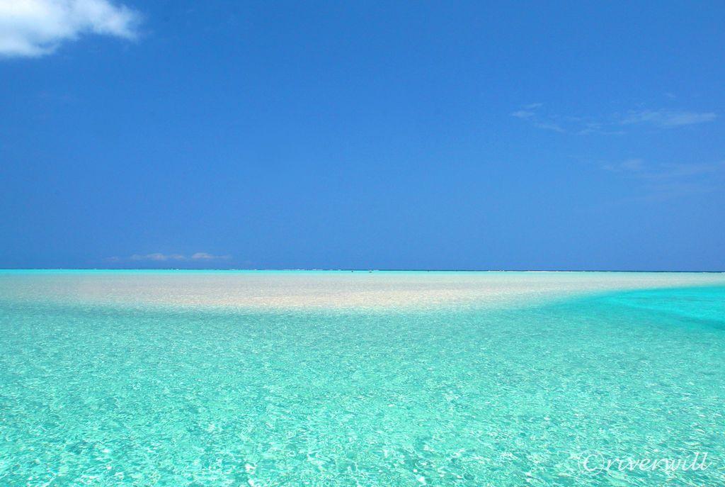 百合ヶ浜 世界一美しい海 与論島の幻の浜 百合ヶ浜