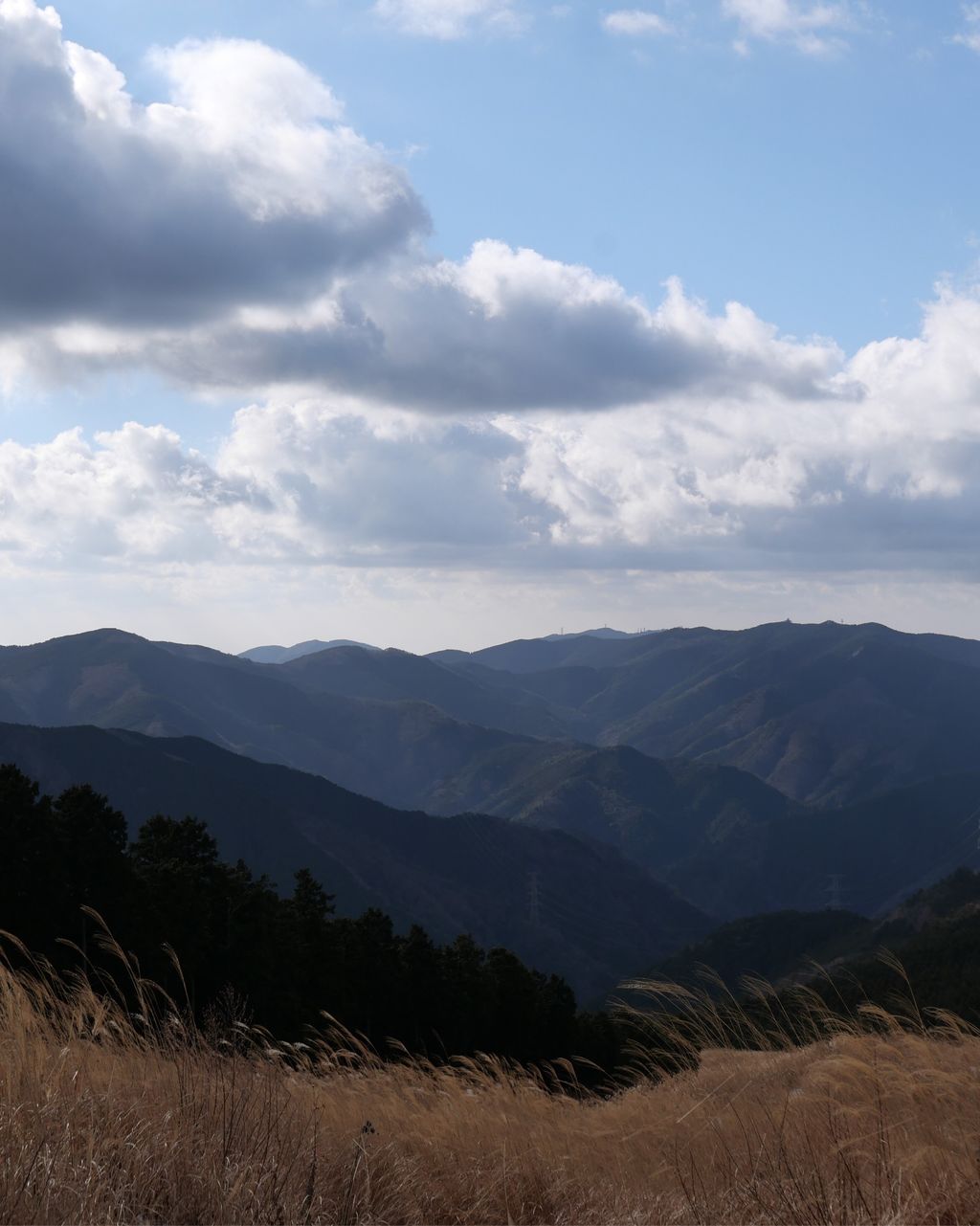 23年 岩湧山 初心者から登山ファンまで 大阪屈指の登山の名所 花ススキが広がる絶景は見事 Recotrip レコトリップ