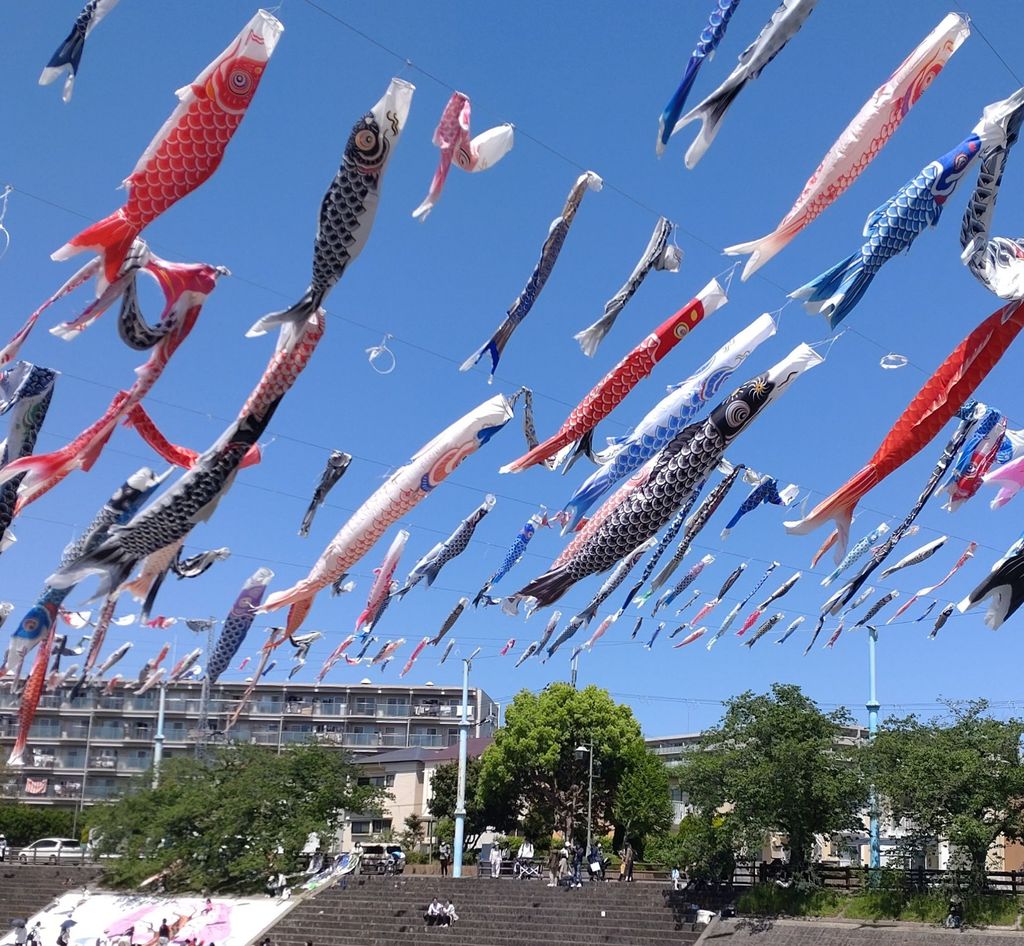 22年 芥川桜堤公園の口コミ 写真 アクセス Recotrip レコトリップ