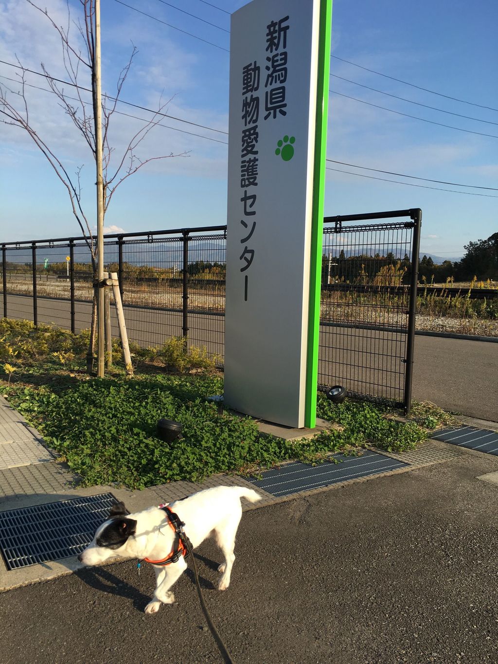 22年 新潟県動物愛護センターの口コミ 写真 アクセス Recotrip レコトリップ