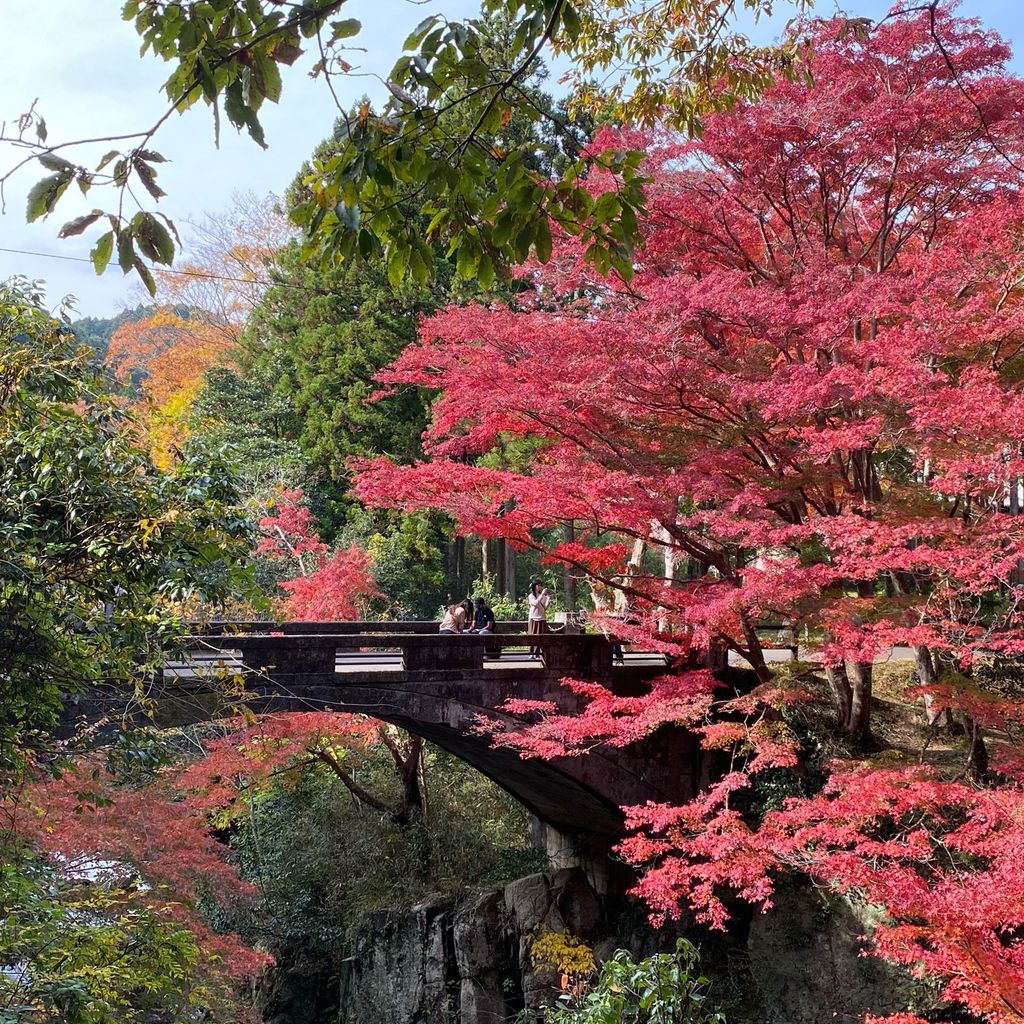 22年 河内渓谷 秋の紅葉が絶景 川や木々を鑑賞しながらの散策も楽しめる自然スポット Recotrip レコトリップ