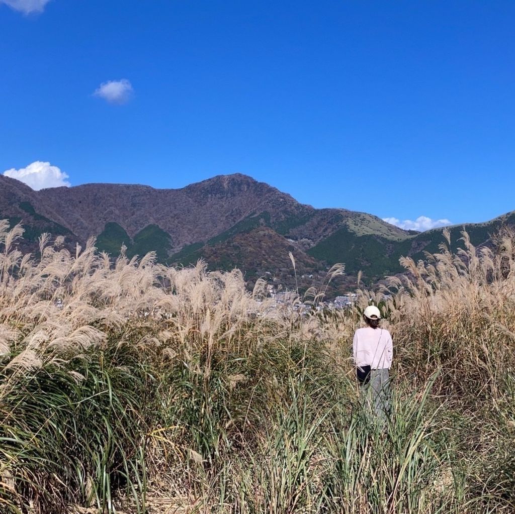 仙石原すすき草原 日本の原風景 一面のすすきの海に癒される幻想的なフォトスポット Recotrip レコトリップ