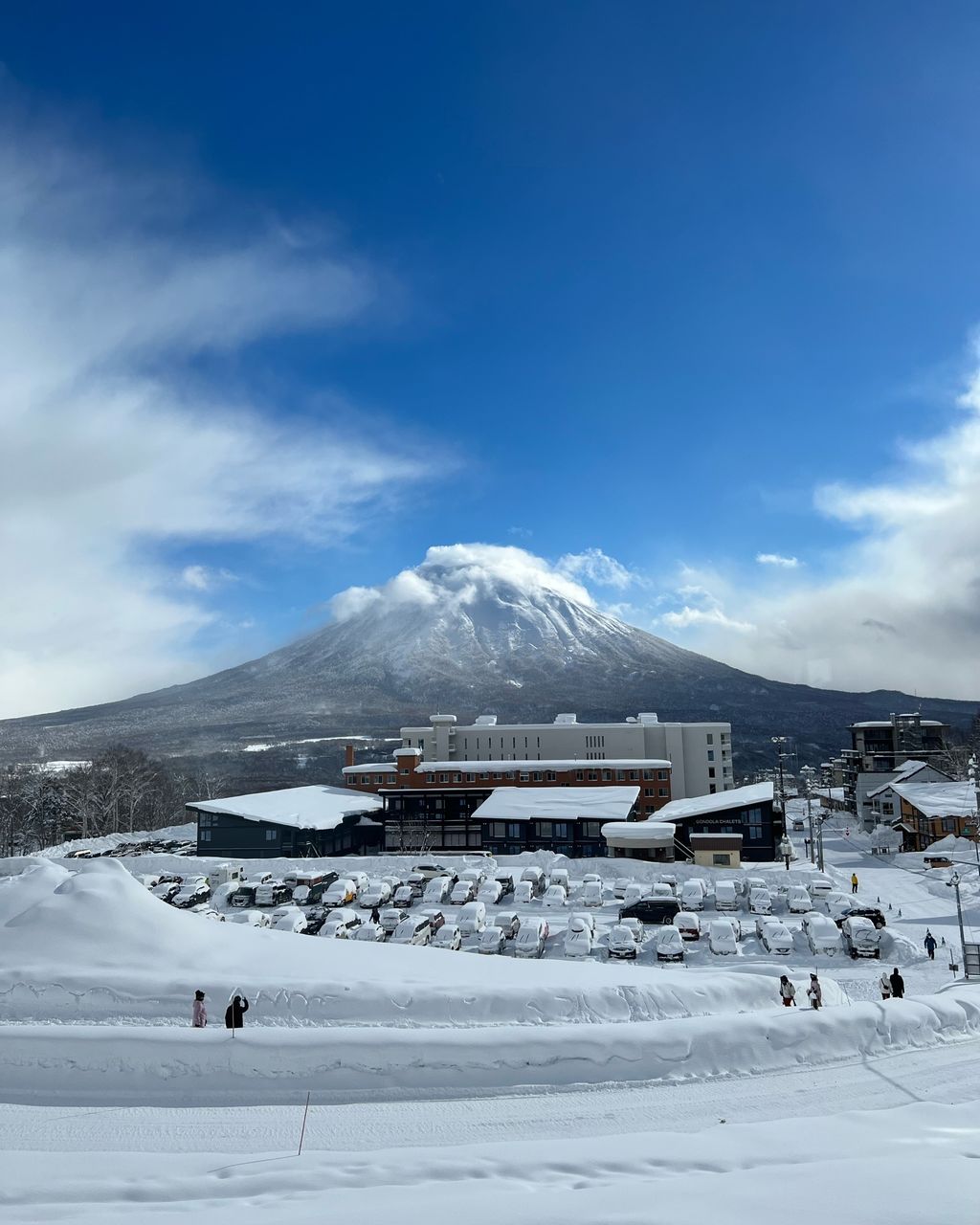 ニセコ グランヒラフスキー場 リフト券 25時間分 - スキー場