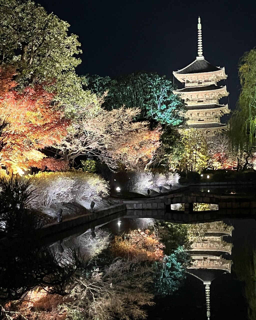 真言宗総本山 教王護国寺（東寺）『東寺ライトアップ✨』