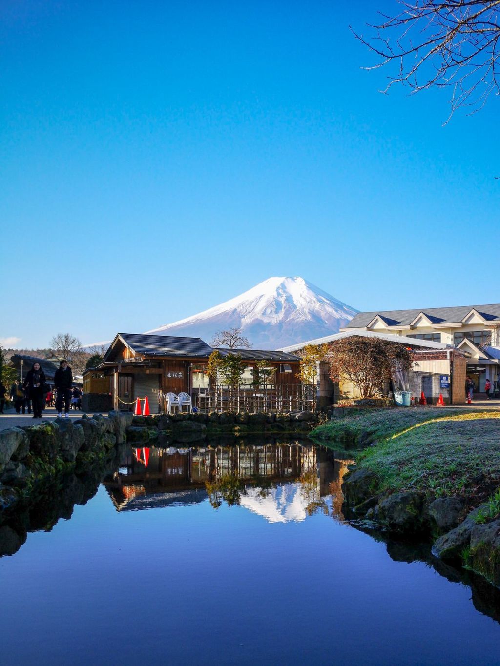 忍野八海から見た富士山