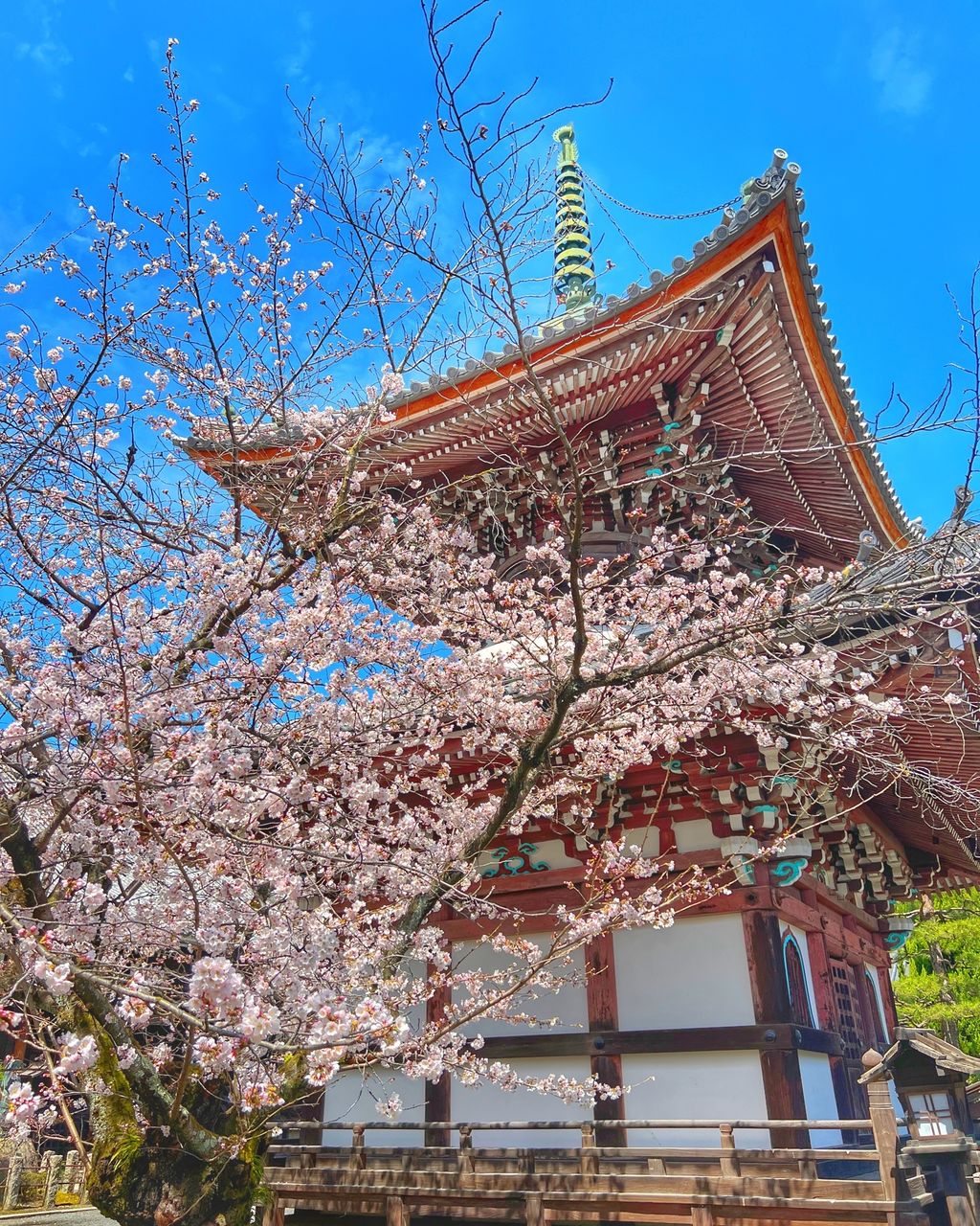 激安 買取 相場 滴生舍 净法寺碗 ニ客 大 食器 mitshopping.it