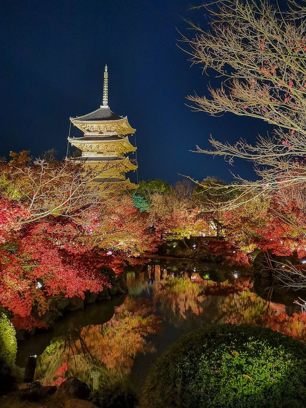 真言宗総本山 教王護国寺 東寺 絶景の紅葉ライトアップ景色