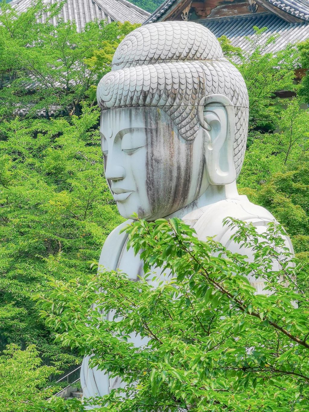 壺阪山 南法華寺（壺阪寺）『『新緑大仏』の絶景✨』