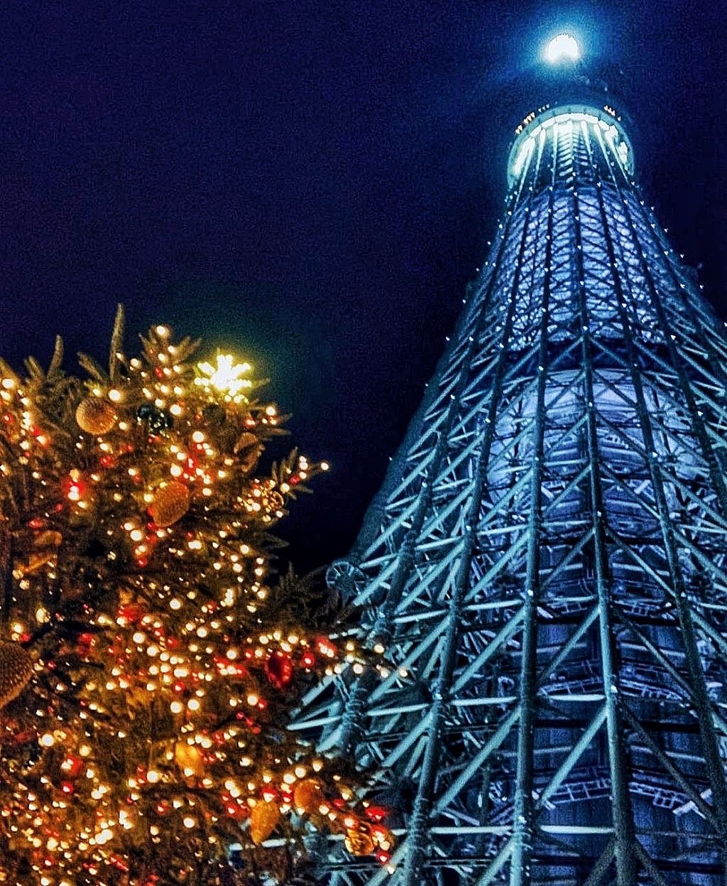 東京スカイツリー 押上 スカイツリーとクリスマスツリー