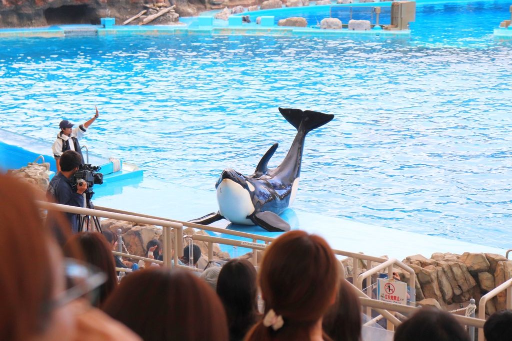 名古屋港水族館 癒しがいっぱい 愛知の名古屋港水族館