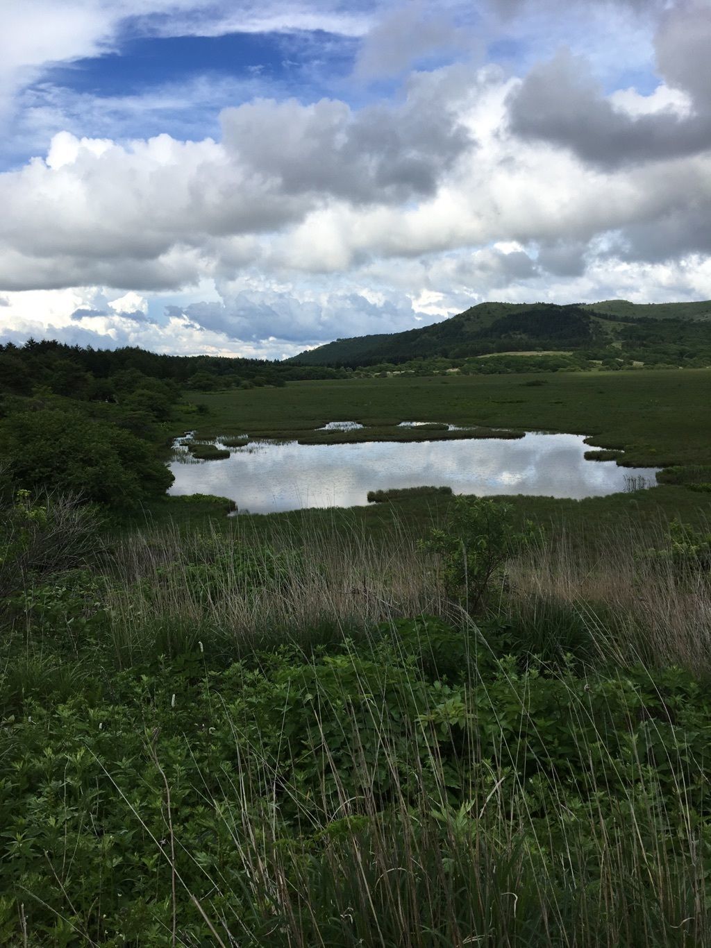 七島八島湿地高原の口コミ 写真 アクセス Recotrip レコトリップ