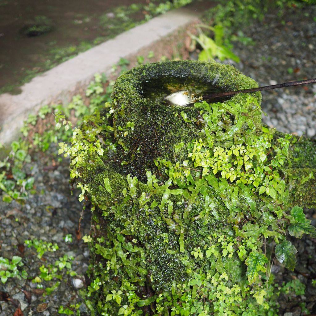 八女津媛神社の口コミ 写真 アクセス Recotrip レコトリップ